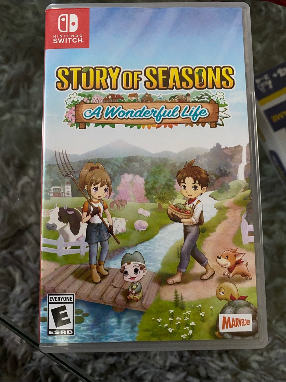 Nintendo Story of Seasons: A Wonderful Life - Blue & Green Artwork